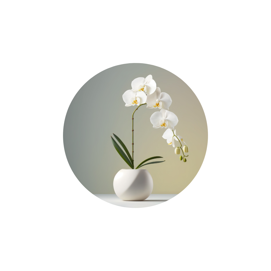 Vases
